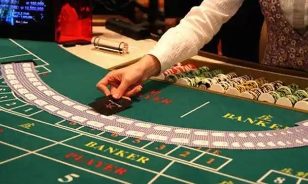zd77 Hamari sportsbook lobby ko samjhiye